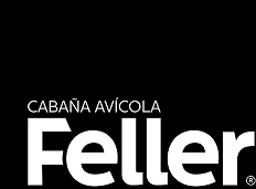 Publicidades